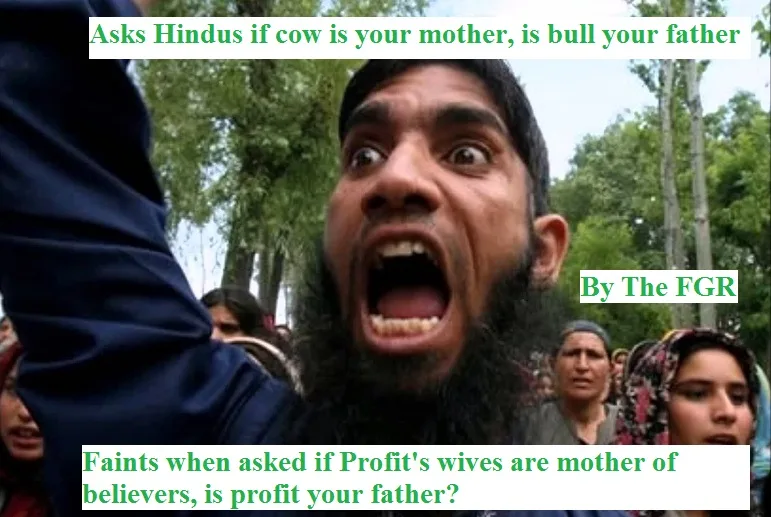 If Cow is Your Mother is Bull your Daddy- Peaceful asks Hindu