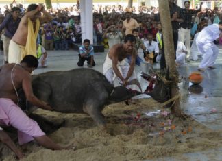 Blood in Name of Mata- Debate with a Hindu